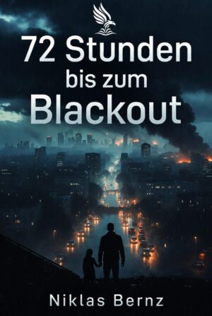 Buch &bdquo;72 Stunden bis zum Blackout&ldquo; von Niklas Bernz